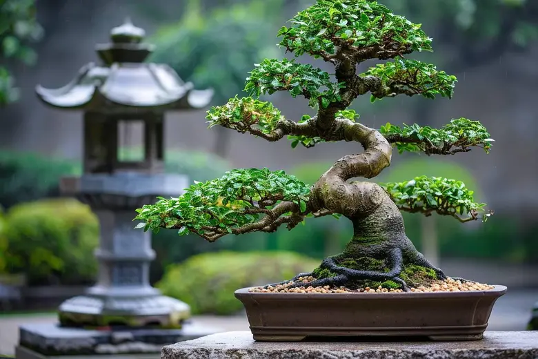 Comment tailler un ficus bonsaï : techniques et astuces