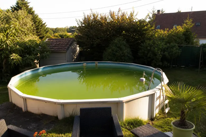 Piscine hors sol dans un jardin avec une eau visiblement verte et trouble, en fin de journée d’été