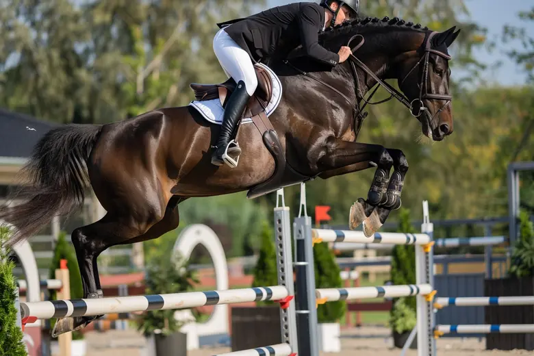 Quelles couvertures spécifiques pour une assurance cheval de saut d’obstacles ?