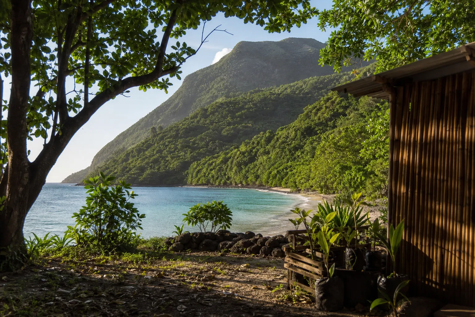 Vacances écoresponsables à la Guadeloupe : voyager tout en préservant l&rsquo;environnement